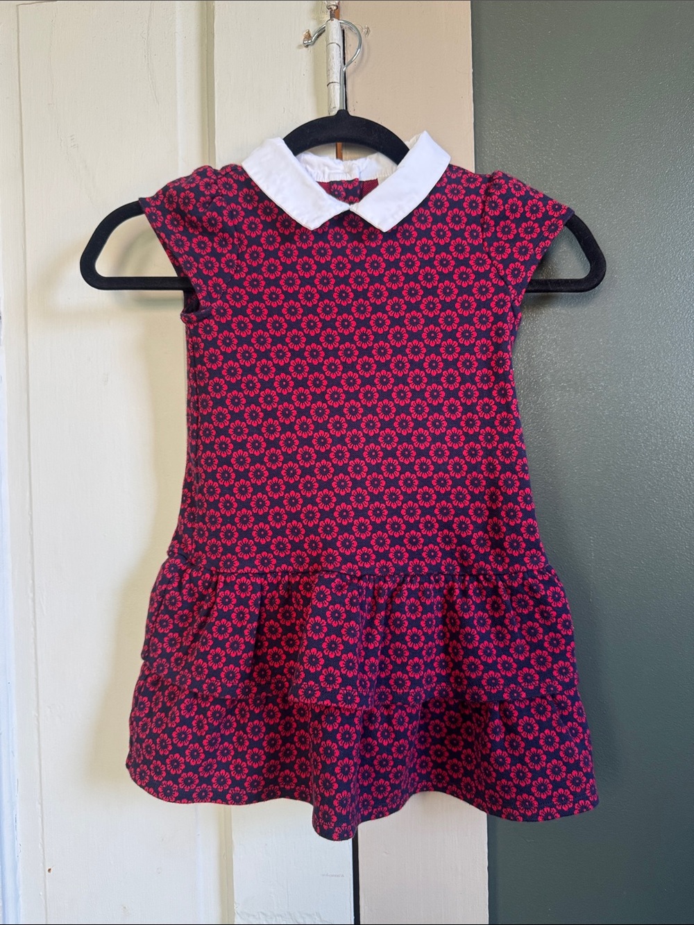 Janie and Jack Navy and Red Floral Collar Dress